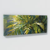 Palm Tree Dappled Canopy 52