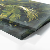 Palm Tree Dappled Canopy 52