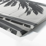 Palm Tree Silhouette Elegance 85