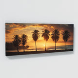 Palm Tree Sunrise Silhouette 70
