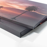 Palm Tree Twilight 73
