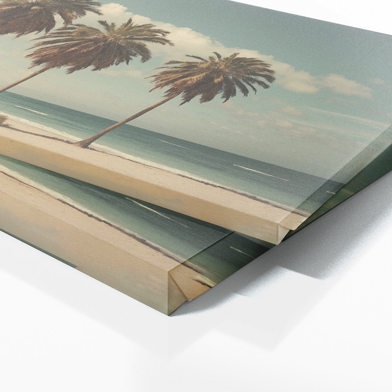 Palm Tree Vintage Shore 82