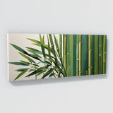 Bamboo Geometry 105