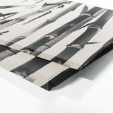Bamboo Silhouette Elegance 108