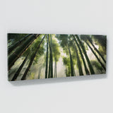 Bamboo Titans 102