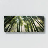 Bamboo Titans 102
