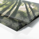 Bamboo Titans 102