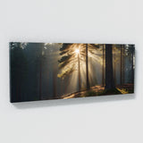 Pine Tree Pine Sunburst 72