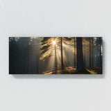 Pine Tree Pine Sunburst 72
