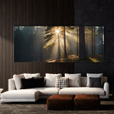 Pine Tree Pine Sunburst 72