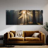 Pine Tree Pine Sunburst 72