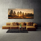 Pine Tree Sunset Pine Shadows 66