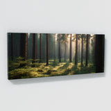 Pine Tree Whispering Pine Canopy 75