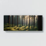 Pine Tree Whispering Pine Canopy 75