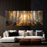 Birch Tree Birch Light Symphony 78