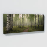 Birch Tree Mystic Birch Pathway 75