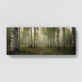 Birch Tree Mystic Birch Pathway 75