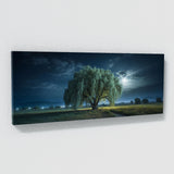 Willow Tree Moonlit Willow Dream 73