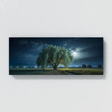 Willow Tree Moonlit Willow Dream 73