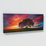 Willow Tree Twilight 65