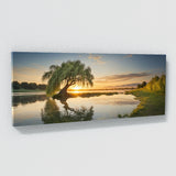 Willow Tree Willow 68