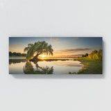 Willow Tree Willow 68