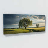 Willow Tree Willows 75
