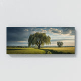 Willow Tree Willows 75