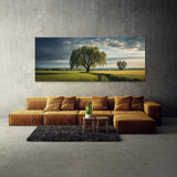 Willow Tree Willows 75