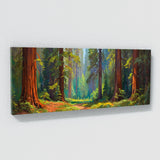 Redwood Tree Ancient 42