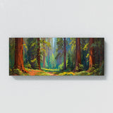 Redwood Tree Ancient 42