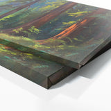 Redwood Tree Ancient 42