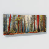 Redwood Tree Contemporary 93