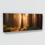 Redwood Tree Golden 69