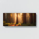 Redwood Tree Golden 69
