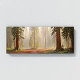 Redwood Tree Misty Redwood Dawn 6