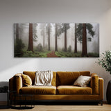 Redwood Tree Mystic Redwood Veil 71