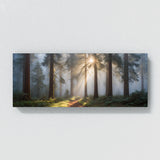 Redwood Tree Mystic Sunbeams 79