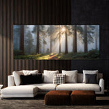 Redwood Tree Mystic Sunbeams 79