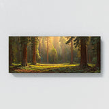 Redwood Tree Redwood 14