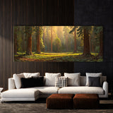 Redwood Tree Redwood 14