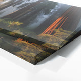 Redwood Tree Redwood 64