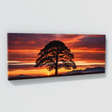 Redwood Tree Redwood 75