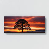 Redwood Tree Redwood 75