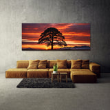 Redwood Tree Redwood 75
