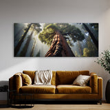 Redwood Tree Redwood Majesty 62
