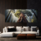 Redwood Tree Redwood Majesty 62