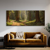 Redwood Tree Sunlit Redwood Path 19