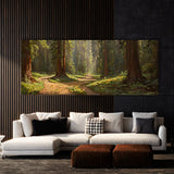 Redwood Tree Sunlit Redwood Path 19