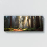 Redwood Tree Tranquil 77